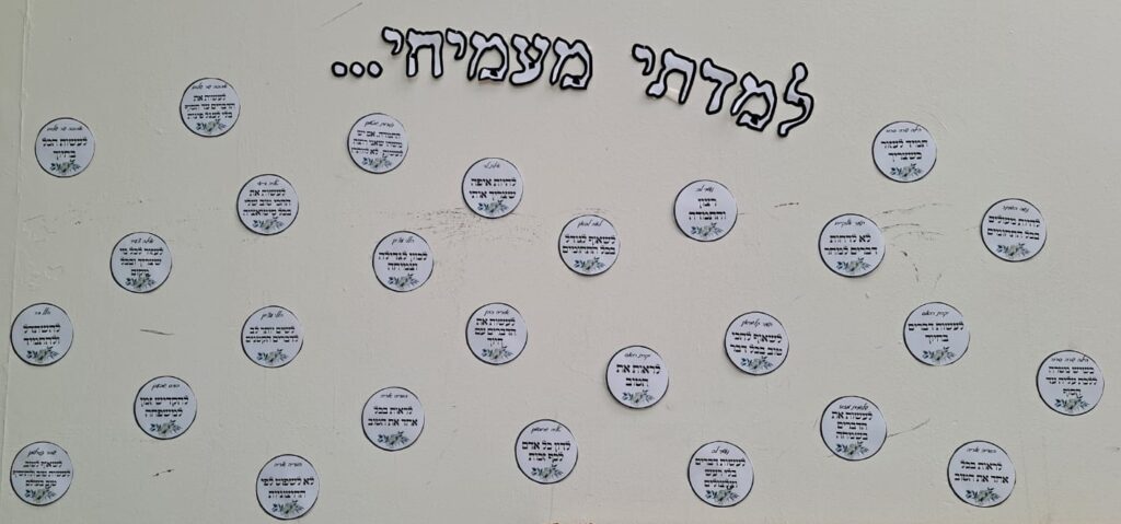 למדתי מעמיחי