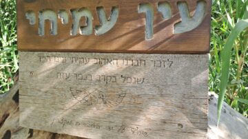 עין עמיחי בנחל משושים